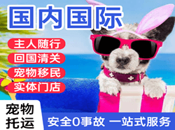 贡嘎空运国际宠物托运 【国